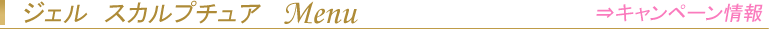 ジェル　スカルプチュア　Menu