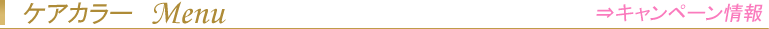 ケアカラー　Menu